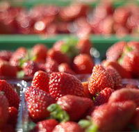 Turners Beach Berry Patch - Attractions