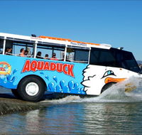 Aquaduck Safaris - Attractions