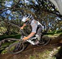 All Terrain Cycles - Attractions