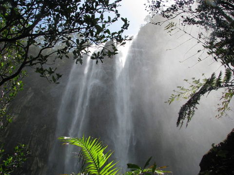 Vision Walks Eco Tours - Attractions 20