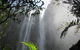Vision Walks Eco Tours - thumb 21
