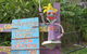Vision Walks Eco Tours - thumb 26