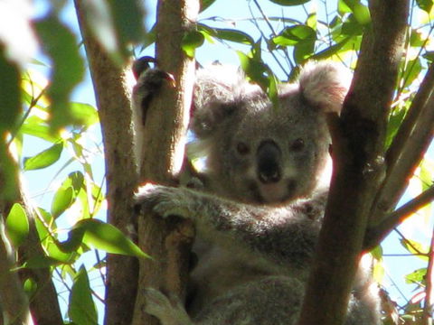 Vision Walks Eco Tours - Attractions 30