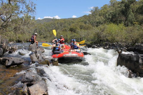 Rafting Australia - Attractions 1