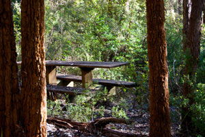 Karrak Reach Forest Retreat - Attractions 1