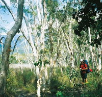 Thorsborne Trail Hinchinbrook Island National Park - See Attractions