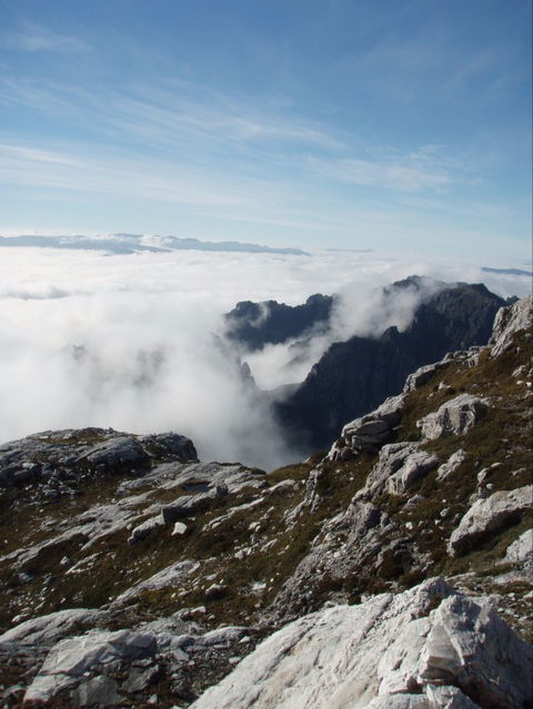 Trek Tasmania - Attractions 5