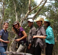 Echidna Walkabout Nature Tours - Attractions