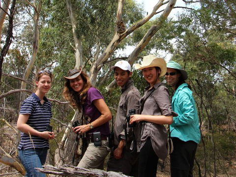 Echidna Walkabout Nature Tours - Attractions 2