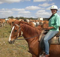 Myella Farm Stay Tours - Attractions