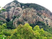 Mount Greville Track