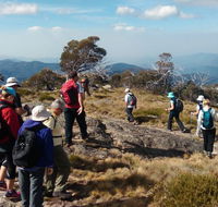 Hedonistic Hiking - Attractions
