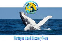 Lighthouse Charters Narooma