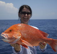 Absolute Ocean Charters - Attractions