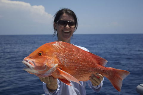 Absolute Ocean Charters - Attractions 3