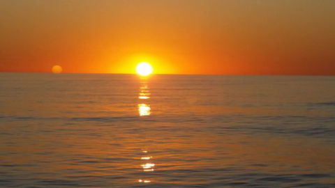 Absolute Ocean Charters - Attractions 16