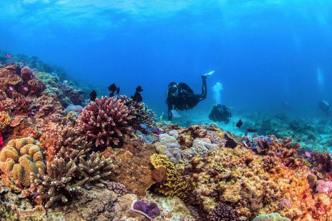 Sunreef Mooloolaba - Attractions 7