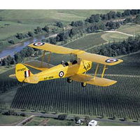Royal Newcastle Aero Club - Attractions
