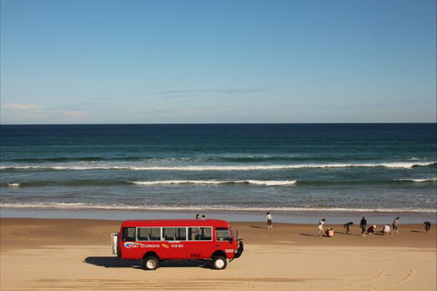 Port Stephens 4WD Tours - Attractions 8
