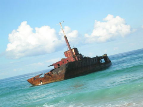 Port Stephens 4WD Tours - Attractions 13