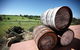 Childers Wine Trail - thumb 0