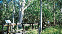 Kinaba Track
