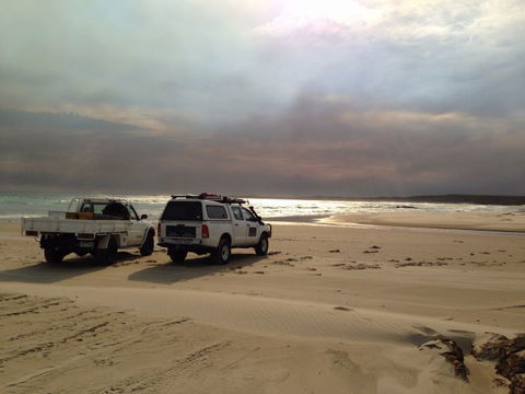 Tasmanian Offroad Adventures - Attractions 0
