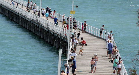 Fraser Coast Amazing Fishing Trails - Attractions 24