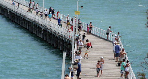 Fraser Coast Amazing Fishing Trails - Attractions 26