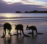 Beachcomber Cove Track - Attractions