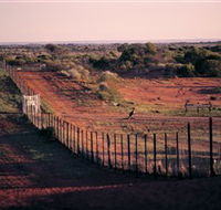 Tri State Safaris - Attractions
