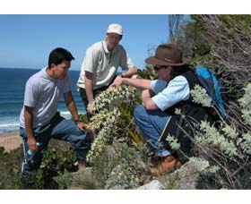Sapphire Coast Ecotours - Attractions 0
