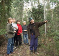 Great Western Tiers Forest Walks Tasmania - Attractions