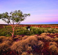 Island Stack Boodjamulla Lawn Hill National Park - Attractions