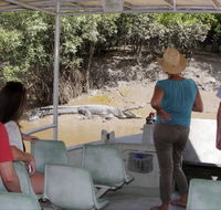 Whitsunday Crocodile Safari - Attractions