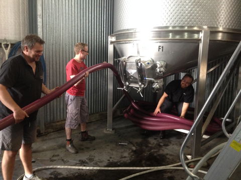 La Prova Wines - Attractions 2