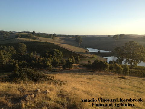 La Prova Wines - Attractions 3