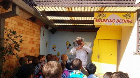 The Honey Place - Attractions 4