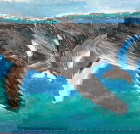 Kaz Art-Whitewash Gallery - Attractions