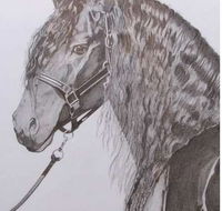 Great Lakes Art Society - Attractions