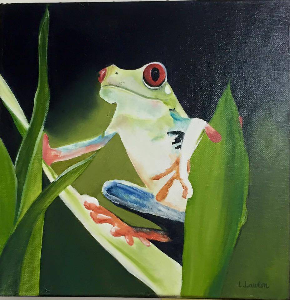 Gorokan NSW Attractions