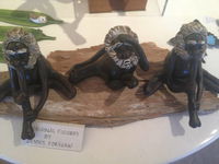 Village Gallery