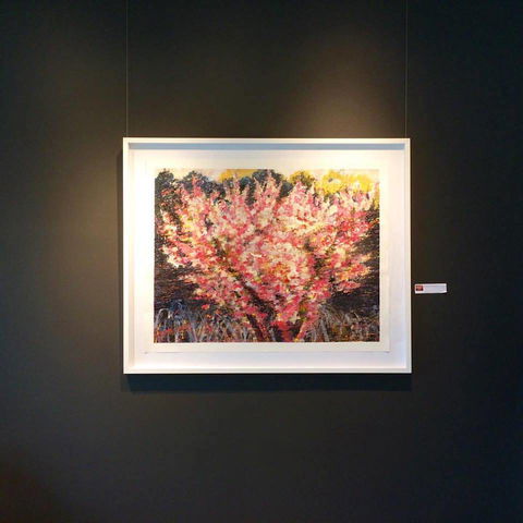 Gallery One - Attractions 1