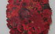 Art Piece Gallery Nadine Abensur - thumb 3