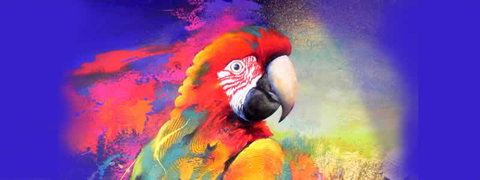 Tina Cooper Gallery - Attractions 2