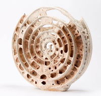 Noosa Regional Gallery - Attractions