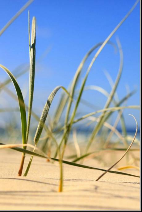 Coastal Visions Photography - Attractions 1