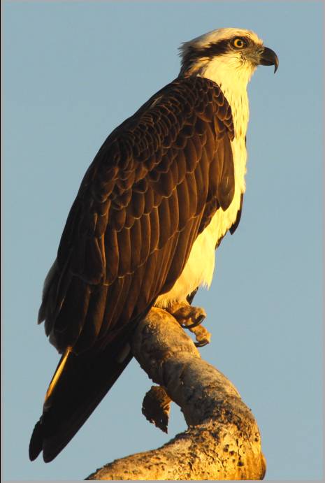 Coastal Visions Photography - Attractions 2