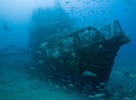 Kirra Dive “On The Tweed” - Attractions 4