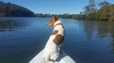 Australis Canoes & Kayaks - Attractions 0